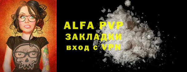 скорость Вяземский