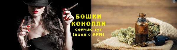 Альфа ПВП Вязьма