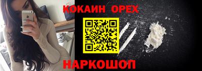гидропоника Гатчина