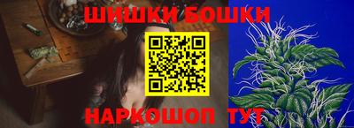 индика Азнакаево