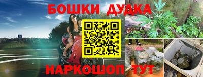 индика Азнакаево