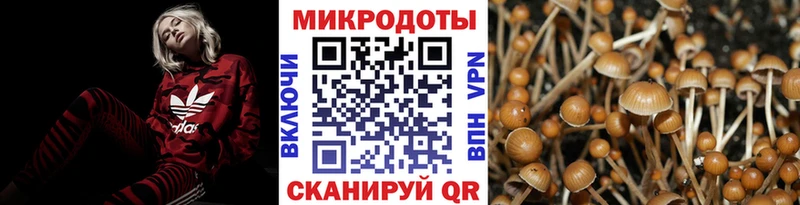 Псилоцибиновые грибы прущие грибы  закладка  Медногорск 