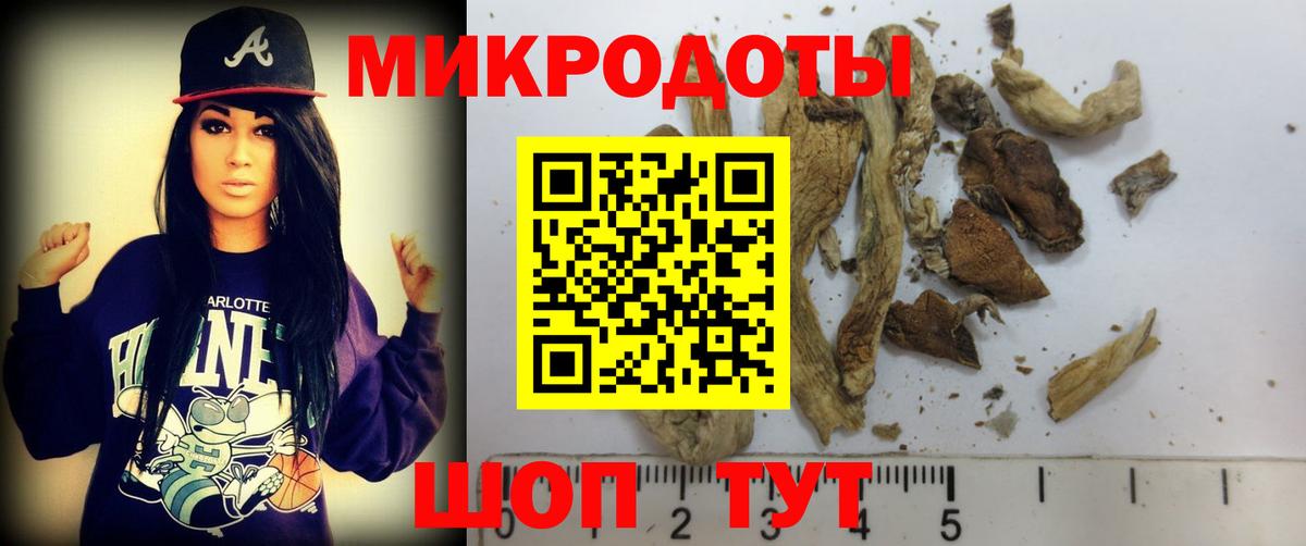 Медногорск  Псилоцибиновые грибы мицелий  где купить наркотик  Вход с VPN 