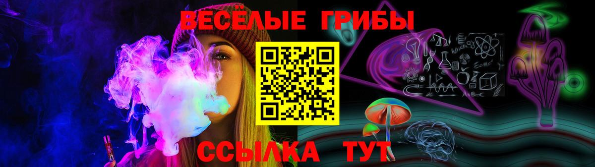 Галлюциногенные грибы Psilocybe Медногорск